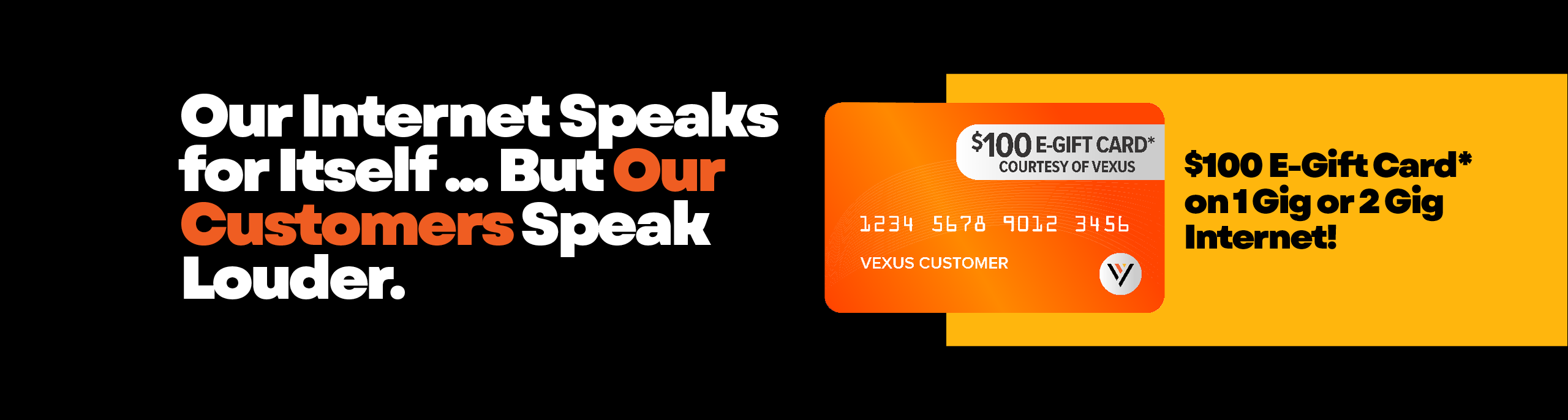 Vexus fiber internet sale